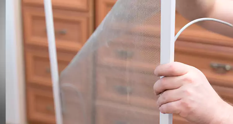 Privacy Mesh Screen Door Installation in Coral Gables, FL